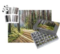 puzzleYOU : Smart Sorted® | Puzzle Photo 1000 pièces « Chemin dans la forêt paisible avec des Rayons de Soleil »