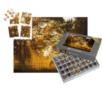 puzzleYOU : Smart Sorted® | Puzzle Photo 1000 pièces « Chevaux broutant dans la lumière dorée du Soir »