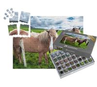 puzzleYOU : Smart Sorted® | Puzzle Photo 1000 pièces « Chevaux islandais dans la Toundra islandaise »