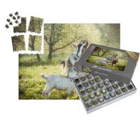 puzzleYOU : Smart Sorted® | Puzzle Photo 1000 pièces « Chèvre avec Un chevreau »