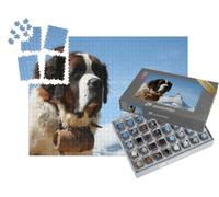 puzzleYOU : Smart Sorted® | Puzzle Photo 1000 pièces « Chien de Sauvetage du Saint-Bernard Devant Le Cervin, Zermatt, Suisse »