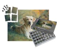 puzzleYOU : Smart Sorted® | Puzzle Photo 1000 pièces « Chien Labrador Retriever sous Un Arbre »
