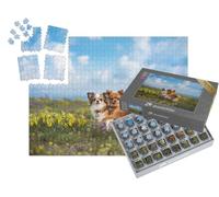 puzzleYOU : Smart Sorted® | Puzzle Photo 1000 pièces « Chihuahua dans Un pré Vert »