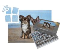 puzzleYOU : Smart Sorted® | Puzzle Photo 1000 pièces « Chihuahua et Chiot à l'extérieur »