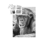 puzzleYOU : Smart Sorted® | Puzzle Photo 1000 pièces « Chimpanzé Africain »