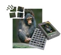 puzzleYOU : Smart Sorted® | Puzzle Photo 1000 pièces « Chimpanzé comme Singe Humain d'Afrique »
