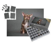 puzzleYOU : Smart Sorted® | Puzzle Photo 1000 pièces « Chiot Chihuahua »