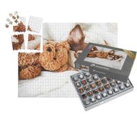 puzzleYOU : Smart Sorted® | Puzzle Photo 1000 pièces « Chiot Chihuahua Dormant avec Ours en Peluche »