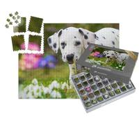 puzzleYOU : Smart Sorted® | Puzzle Photo 1000 pièces « Chiot Dalmatien avec Fleurs printanières »