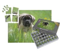 puzzleYOU : Smart Sorted® | Puzzle Photo 1000 pièces « Chiot Mastiff Anglais Joue »