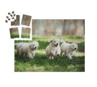 puzzleYOU : Smart Sorted® | Puzzle Photo 1000 pièces « Chiots Golden Retriever dans Le Parc »