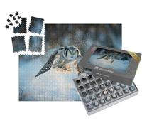 puzzleYOU : Smart Sorted® | Puzzle Photo 1000 pièces « Chouette de Tengmalm, Surnia Ulula, en Train d'attraper des Souris »