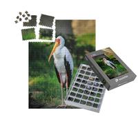 puzzleYOU : Smart Sorted® | Puzzle Photo 1000 pièces « Cigogne Africaine à Bec Jaune sur Un Vieux Tronc d'arbre »