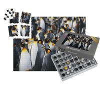puzzleYOU : Smart Sorted® | Puzzle Photo 1000 pièces « Colonie de manchots royaux à Gold Harbour, Géorgie du Sud »