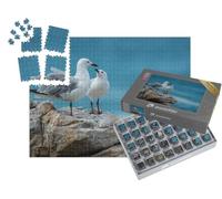 puzzleYOU : Smart Sorted® | Puzzle Photo 1000 pièces « Couple de mouettes sur la côte rocheuse de l'océan Indien »