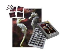 puzzleYOU : Smart Sorted® | Puzzle Photo 1000 pièces « Couple d'hippocampes à Long museau Amoureux »