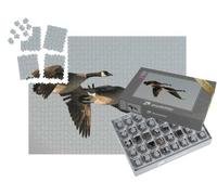 puzzleYOU : Smart Sorted® | Puzzle Photo 1000 pièces « Couple d'oies en vol »