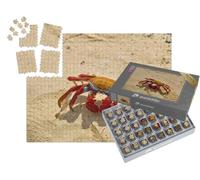 puzzleYOU : Smart Sorted® | Puzzle Photo 1000 pièces « Crabe Sally Lightfoot sur Sable Jaune, Iles Galapagos, Équateur »