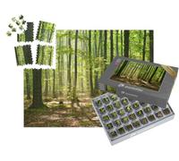 puzzleYOU : Smart Sorted® | Puzzle Photo 1000 pièces « Crépuscule d'automne dans Une forêt Magique et Mystique »