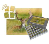 puzzleYOU : Smart Sorted® | Puzzle Photo 1000 pièces « Daim majestueux dans la forêt d'automne, Dyrehave, Danemark »