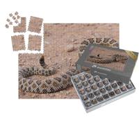 puzzleYOU : Smart Sorted® | Puzzle Photo 1000 pièces « Dangereux Serpent à sonnettes, enroulé et prêt à attaquer »