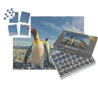 puzzleYOU : Smart Sorted® | Puzzle Photo 1000 pièces « dans Le Style de Paul-Cezanne - L'été en Antarctique - Collection de Puzzles Artistes & Peintures »