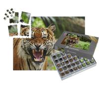 puzzleYOU : Smart Sorted® | Puzzle Photo 1000 pièces « Dents blanchies d'un Tigre »