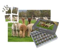puzzleYOU : Smart Sorted® | Puzzle Photo 1000 pièces « des alpagas dans Un Ranch de l'Oregon »