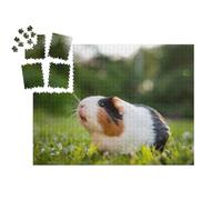 puzzleYOU : Smart Sorted® | Puzzle Photo 1000 pièces « des cochons d'Inde dans Une Prairie »