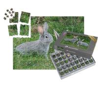 puzzleYOU : Smart Sorted® | Puzzle Photo 1000 pièces « des Lapins Gris Duveteux sur l'herbe Verte »