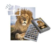 puzzleYOU : Smart Sorted® | Puzzle Photo 1000 pièces « des Lions Sauvages en Afrique du Sud »