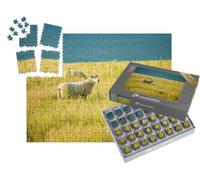 puzzleYOU : Smart Sorted® | Puzzle Photo 1000 pièces « des Moutons paissent au Coucher du Soleil près de Boulogne-sur-Mer, sur la côte de la Manche. »