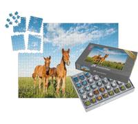 puzzleYOU : Smart Sorted® | Puzzle Photo 1000 pièces « des poulains Curieux dans Les pâturages de la réserve d'État de Rostov »