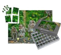 puzzleYOU : Smart Sorted® | Puzzle Photo 1000 pièces « des singes Adultes mangent des Bananes, Bali »