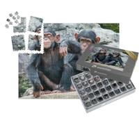 puzzleYOU : Smart Sorted® | Puzzle Photo 1000 pièces « Deux bébés chimpanzés espiègles côte à côte »