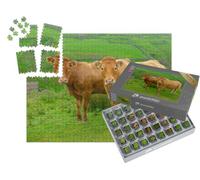 puzzleYOU : Smart Sorted® | Puzzle Photo 1000 pièces « Deux Belles Vaches limousines sur Les High Fells près de Keld dans Le North Yorkshire »