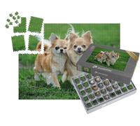 puzzleYOU : Smart Sorted® | Puzzle Photo 1000 pièces « Deux Chiens Chihuahua à Poils Longs dans l'herbe Verte de l'été »