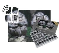 puzzleYOU : Smart Sorted® | Puzzle Photo 1000 pièces « Deux chimpanzés en Gros Plan »