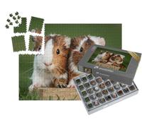 puzzleYOU : Smart Sorted® | Puzzle Photo 1000 pièces « Deux cochons d'Inde »