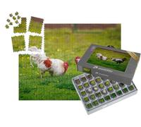 puzzleYOU : Smart Sorted® | Puzzle Photo 1000 pièces « Deux coqs Dominants, prêts à se Battre »