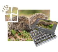 puzzleYOU : Smart Sorted® | Puzzle Photo 1000 pièces « Deux hérissons dans la Mousse et Les Feuilles »