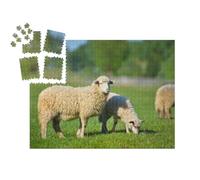 puzzleYOU : Smart Sorted® | Puzzle Photo 1000 pièces « Deux Jeunes Moutons Blancs dans Une Prairie d'herbe Verte »