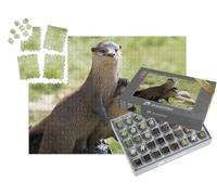 puzzleYOU : Smart Sorted® | Puzzle Photo 1000 pièces « Deux loutres de rivière attentives »