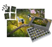 puzzleYOU : Smart Sorted® | Puzzle Photo 1000 pièces « Deux mésanges charbonnières dans la forêt des Contes »