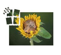 puzzleYOU : Smart Sorted® | Puzzle Photo 1000 pièces « Deux Souris se blottissent dans Un Tournesol »