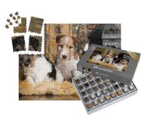 puzzleYOU : Smart Sorted® | Puzzle Photo 1000 pièces « Doux Chiots Fox-Terriers »