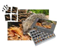 puzzleYOU : Smart Sorted® | Puzzle Photo 1000 pièces « Doux hérisson dans Les Feuilles d'automne »