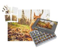puzzleYOU : Smart Sorted® | Puzzle Photo 1000 pièces « Écureuil »