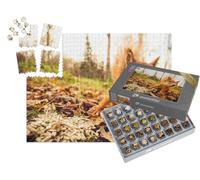 puzzleYOU : Smart Sorted® | Puzzle Photo 1000 pièces « Écureuil dans la forêt »