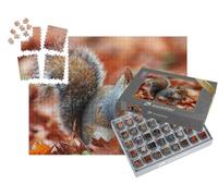 puzzleYOU : Smart Sorted® | Puzzle Photo 1000 pièces « Écureuil en Automne avec Gland »